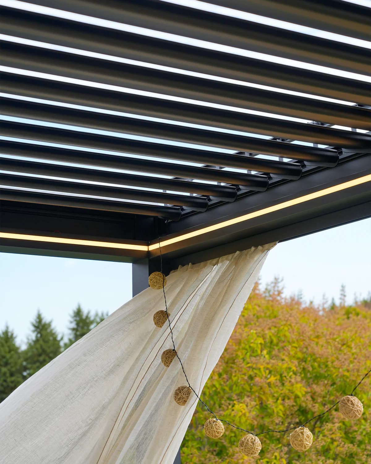 König Pergola – Bild 6