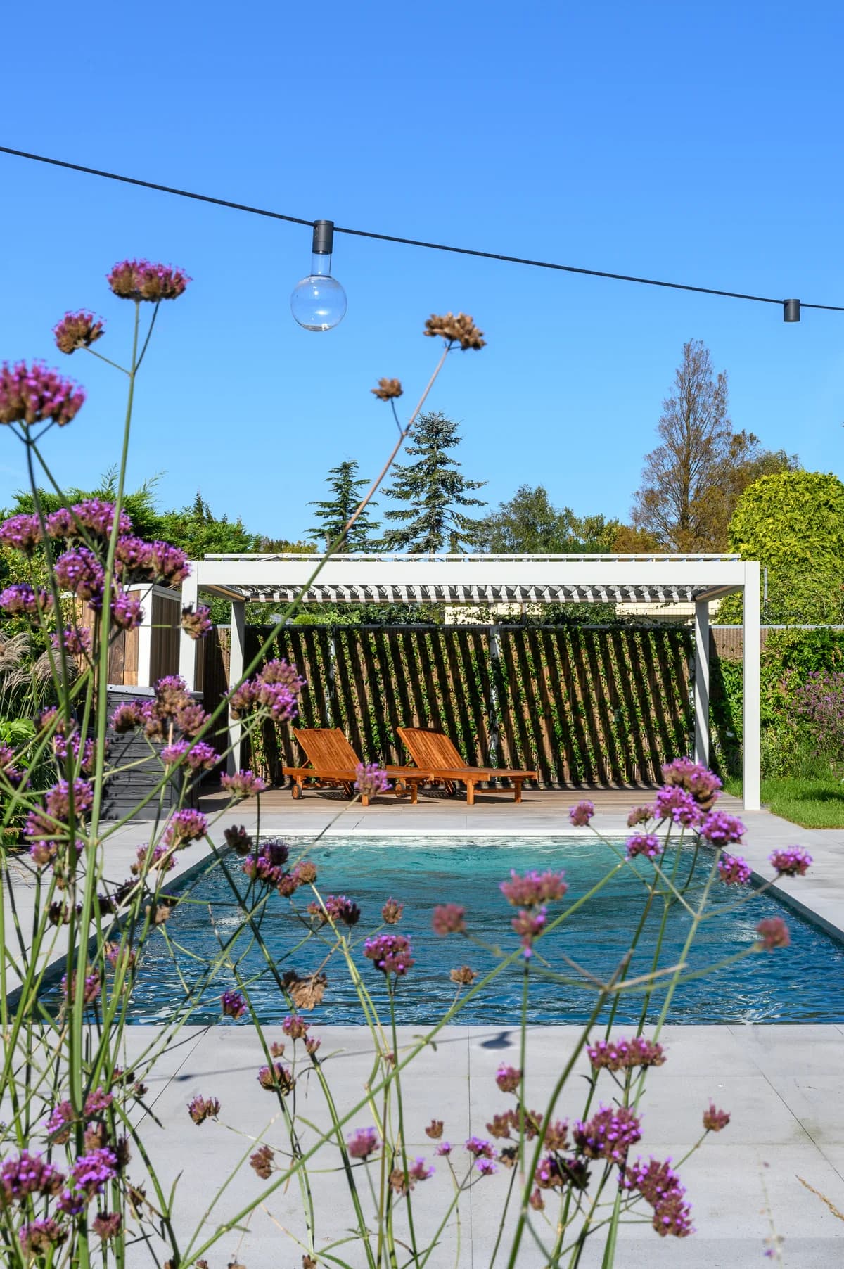 König Pergola – Bild 1