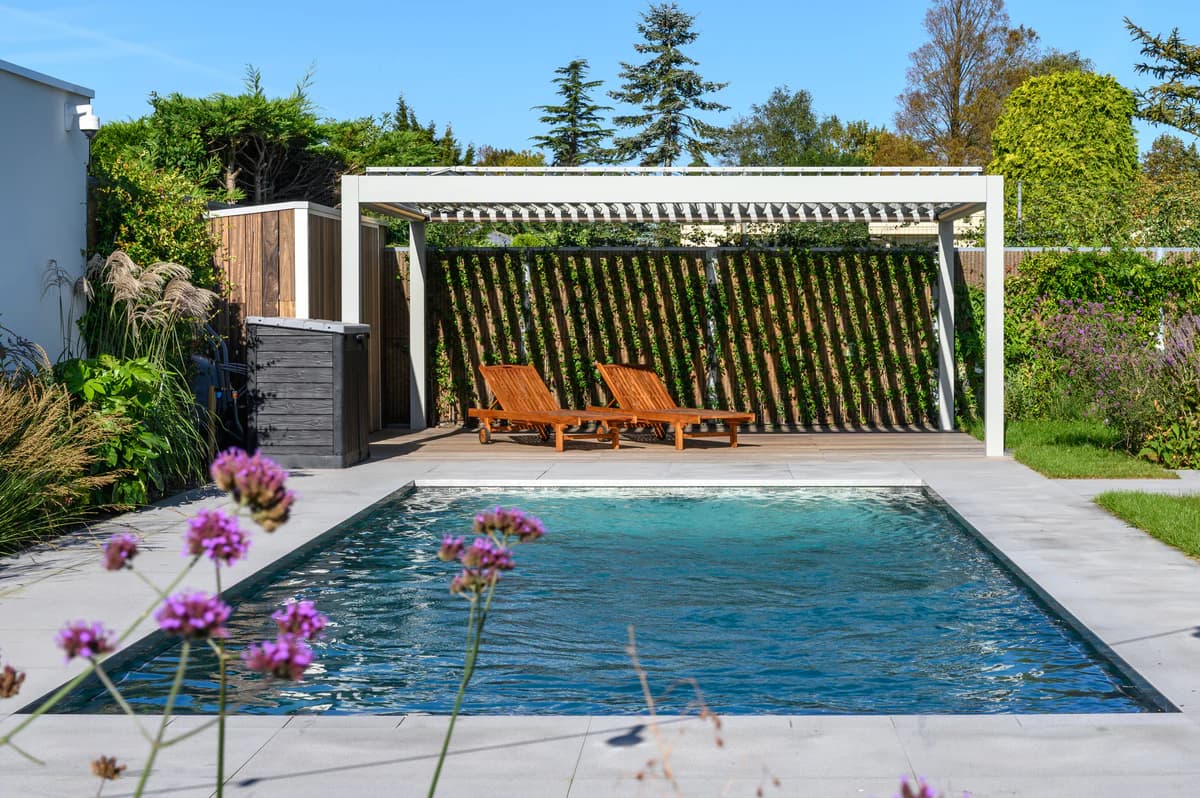 König Pergola – Bild 2